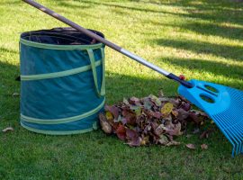 bergheim gartenpflege 10