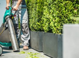 bergheim gartenpflege 12