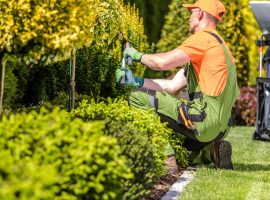 bergheim gartenpflege 2