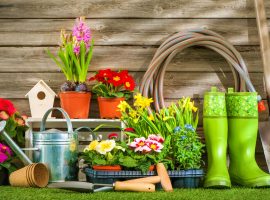 bergheim gartenpflege 3