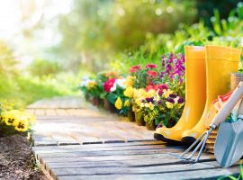 bergheim gartenpflege 4