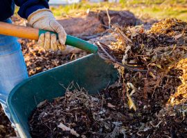 bergheim gartenpflege 9